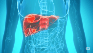 Gemini Generated Image qh5g04qh5g04qh5g.png