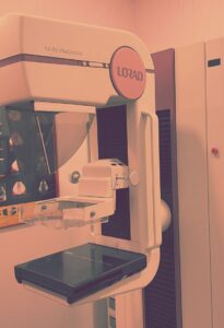 WhatsApp Image 2025 01 21 at 15.36.55.jpeg