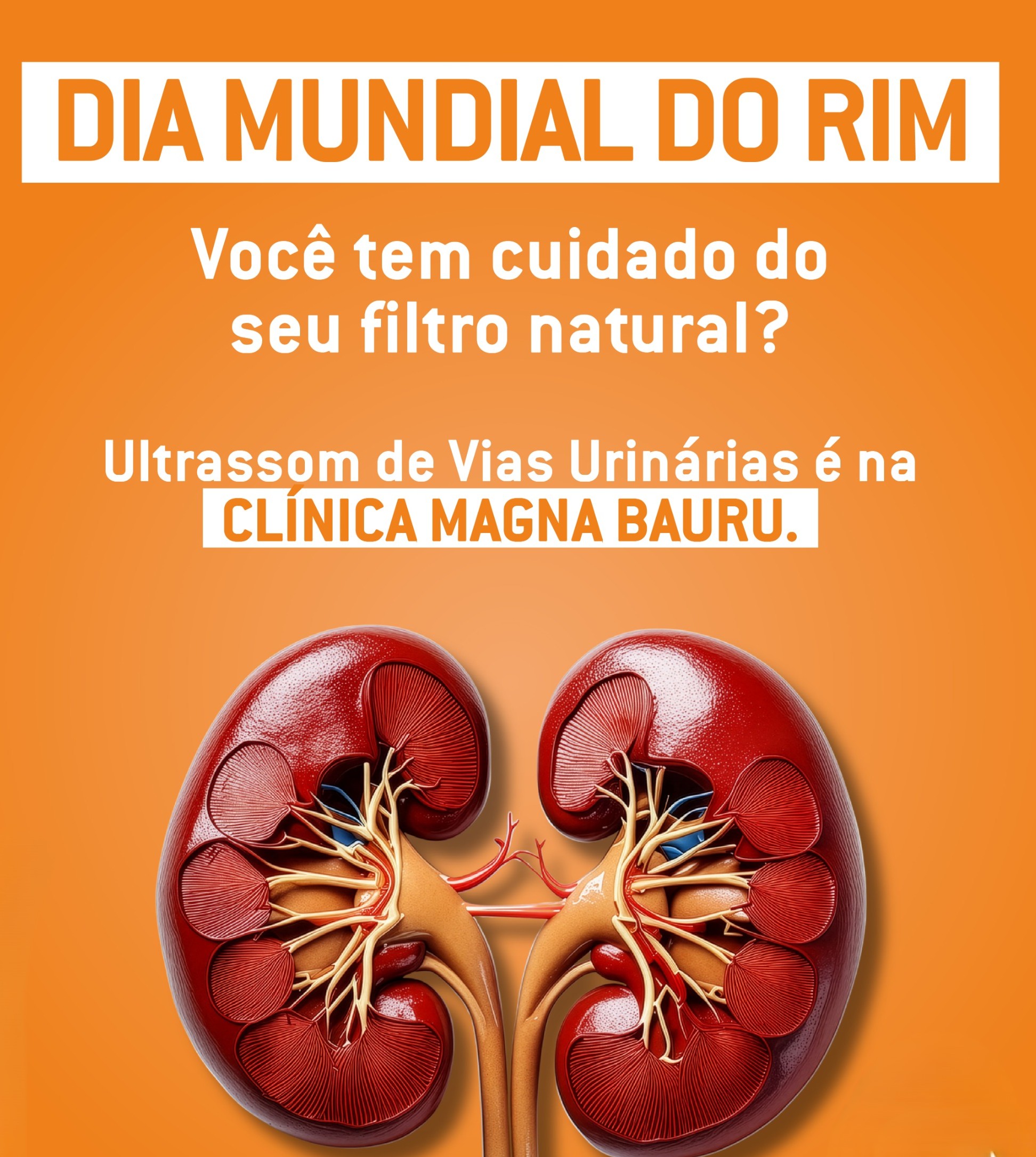 POST 7 DIA MUNDIAL DO RIM2